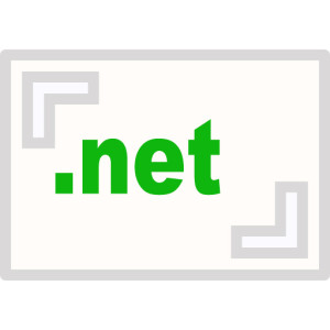 Tên miền .net