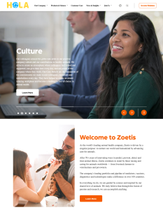 Template Doanh Nghiệp & Công Ty 1