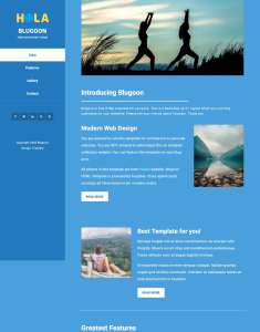 Template blog 4