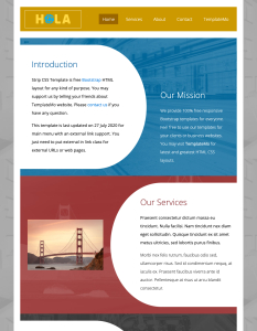 Template 450 - Strip - Mẫu Website Thương Mại Điện Tử Đơn Giản và Chuyên Nghiệp