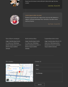 Template 455 - Timeless - Mẫu Website Blog Thanh Lịch và Hiện Đại